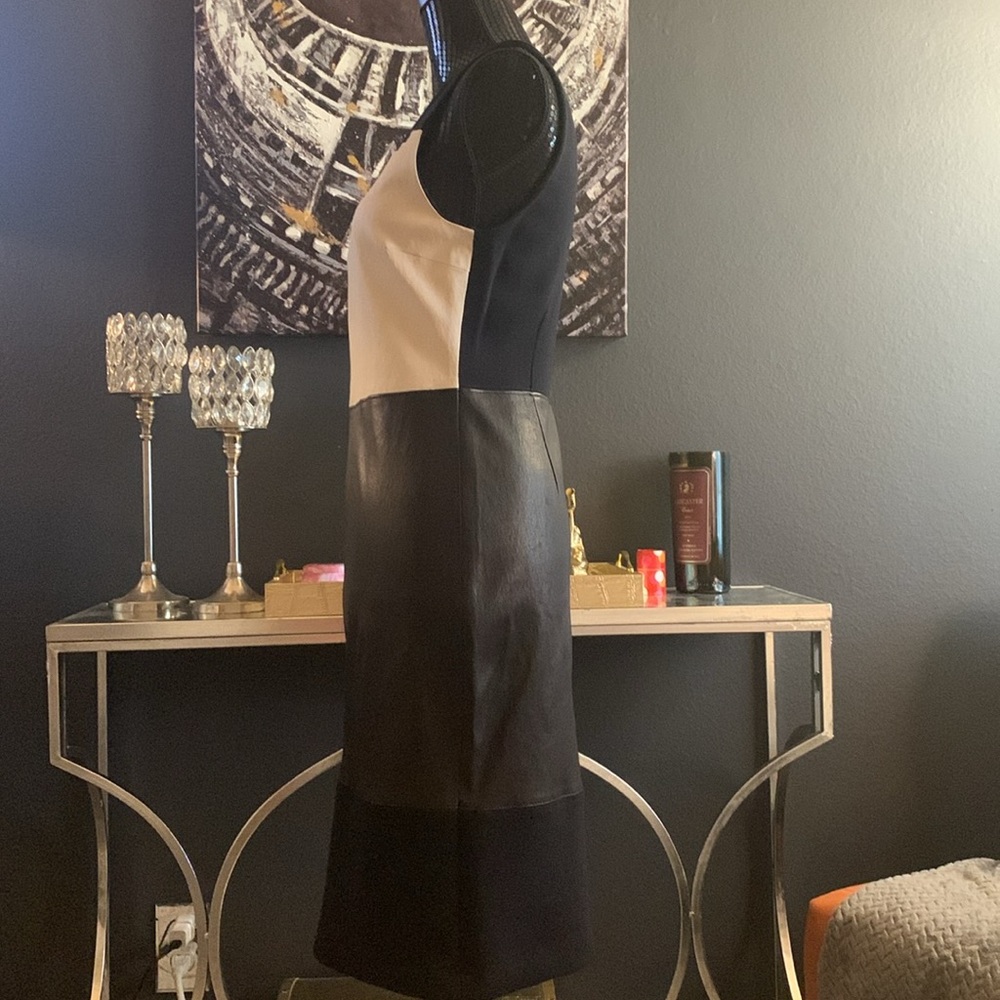 A.L.C. Curil Colorblock Lambskin Leather Panel Sheath Dress - Picture 7 of 8